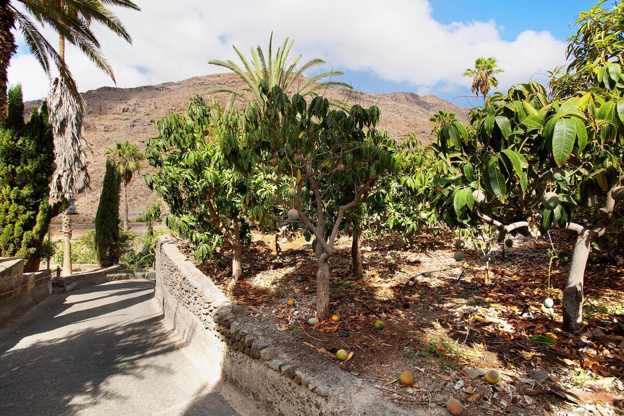 Casa Paraiso Del Molinero Villa Mogan Bagian luar foto